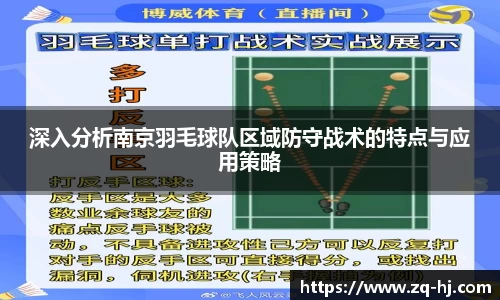 深入分析南京羽毛球队区域防守战术的特点与应用策略
